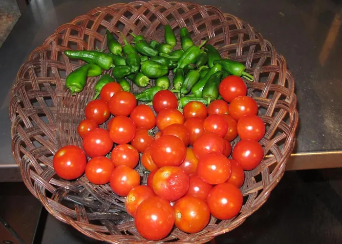 Casa Da Urcela 度假村 蓬特亚雷亚斯