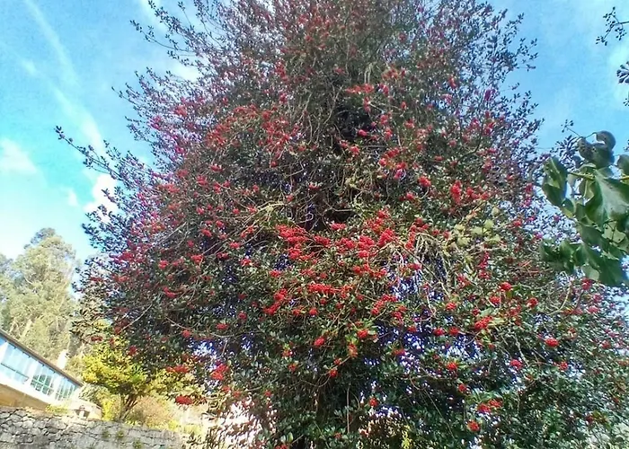 Casa Da Urcela 度假村 2*