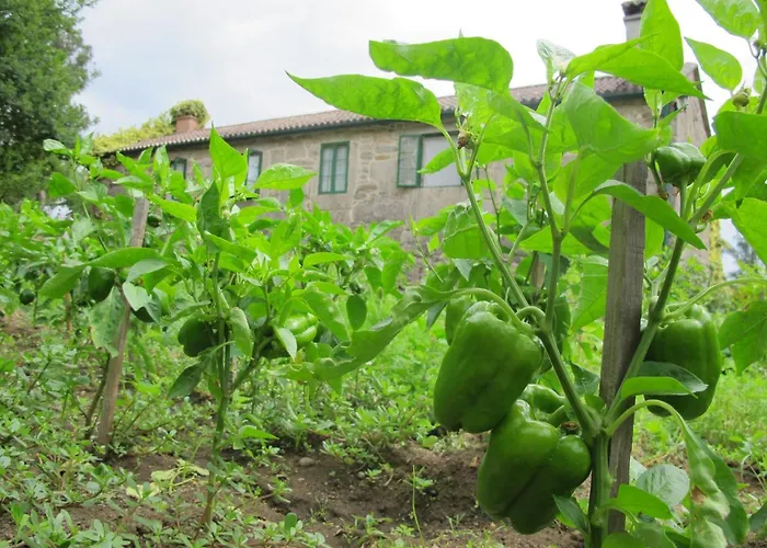 度假村 Casa Da Urcela 蓬特亚雷亚斯